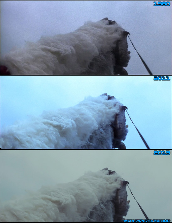 Wampa arm