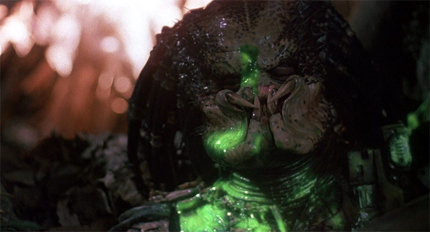 Predator