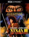 Ninja III: The Domination (4K UHD Review)