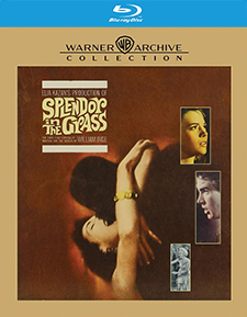 Splendor in the Grass (Blu-ray Review)